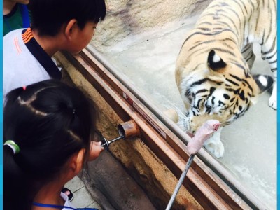 멘토와 함께 하는 체력증진 프로그램 &lt;&lt;기분up 체력up&gt;&gt; 5회기 실시 이미지